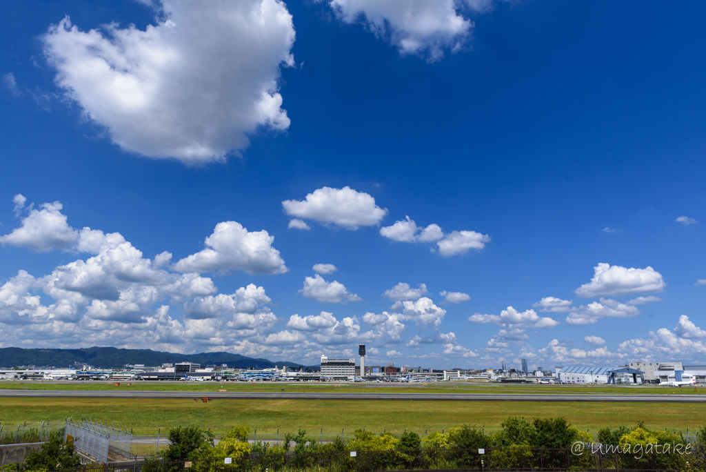 ある夏の日の空港