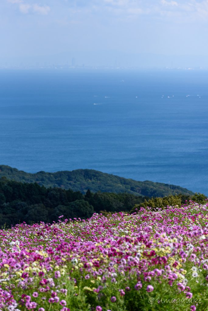 海の見える丘