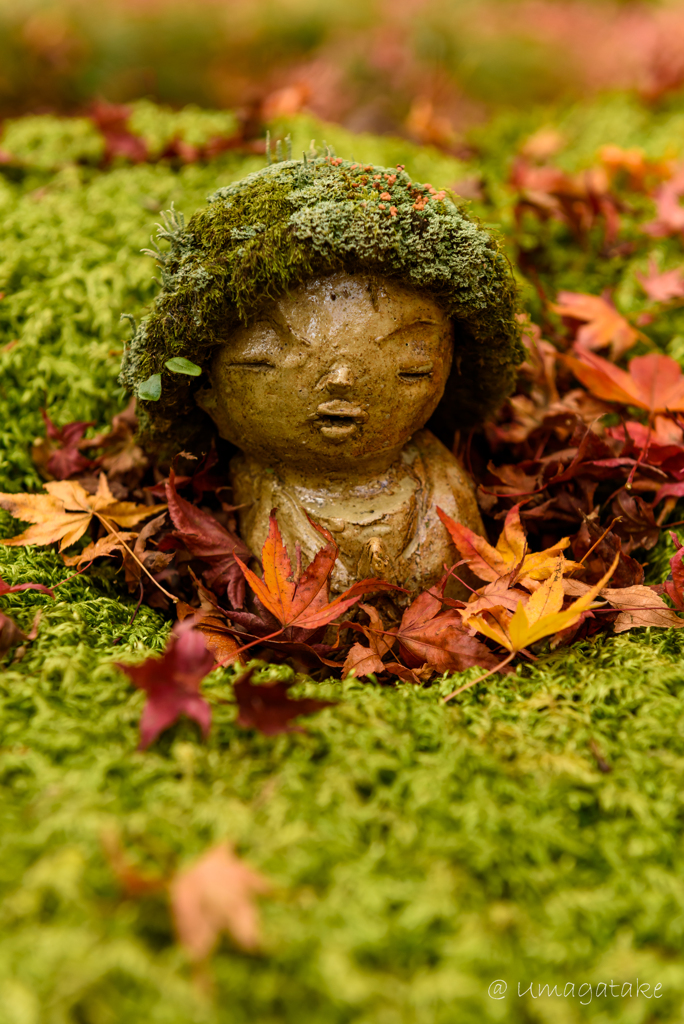 京都　紅葉紀行⑫