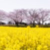 青が足りない