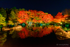 好古園ライトアップ　「紅葉会」