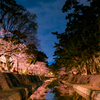 夙川夜景