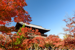 京都　紅葉紀行④