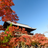 京都　紅葉紀行④