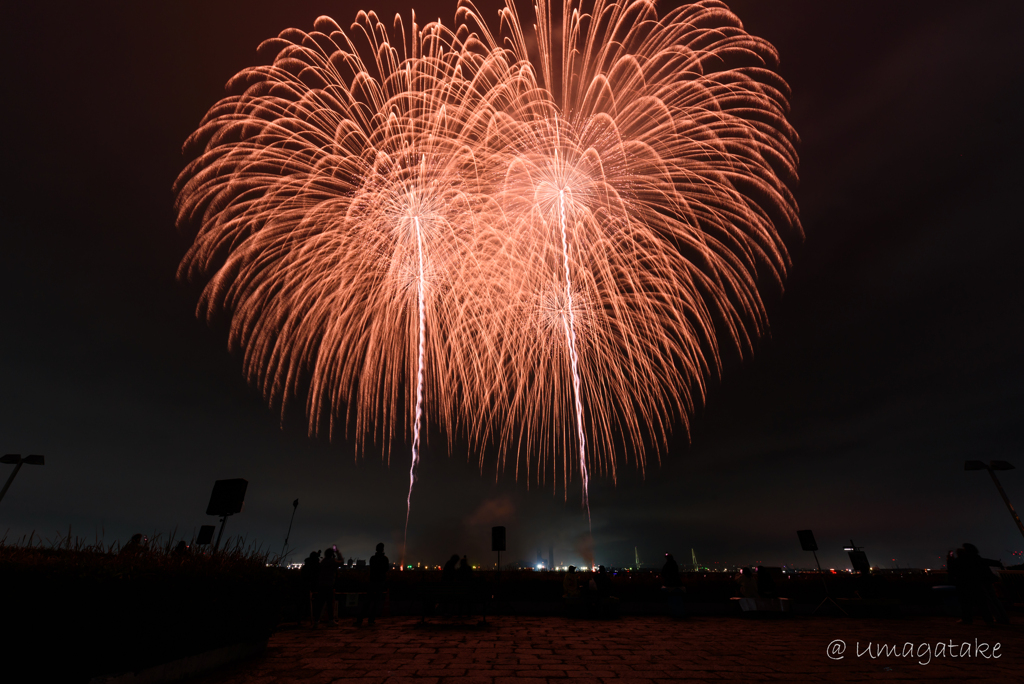 ISOGAI花火芸劇場 in 名古屋港⑤