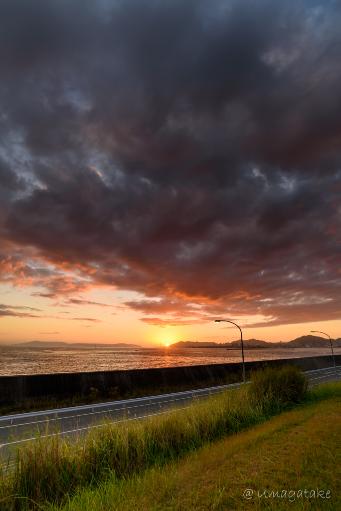 あたりを夕日に染めて