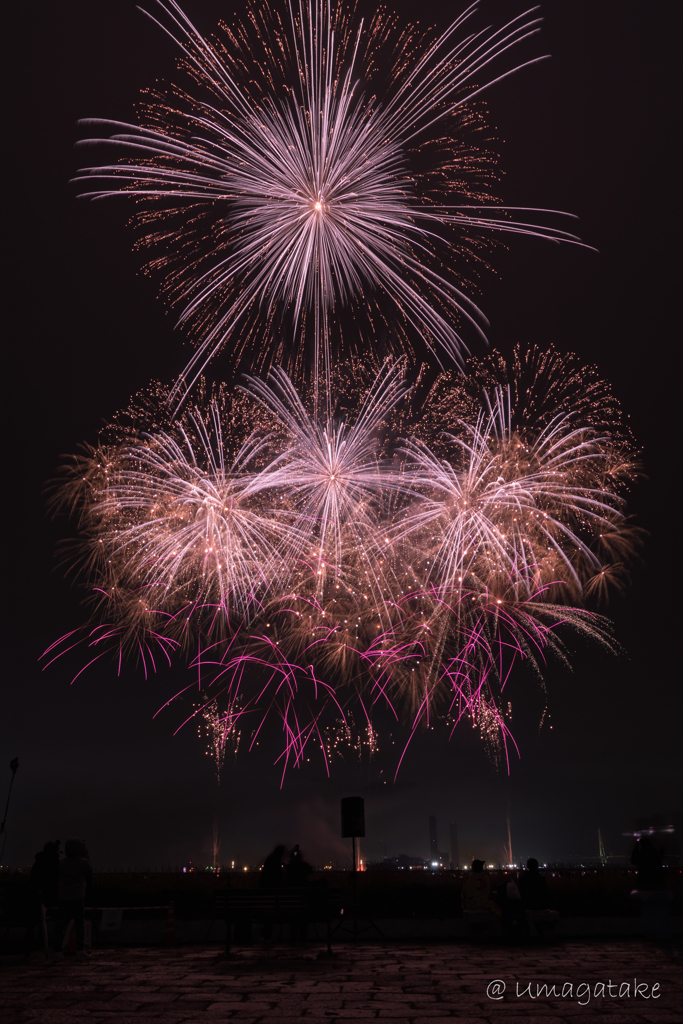 ISOGAI花火芸劇場 in 名古屋港①