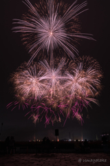 ISOGAI花火芸劇場 in 名古屋港①