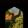 京都　紅葉紀行⑧