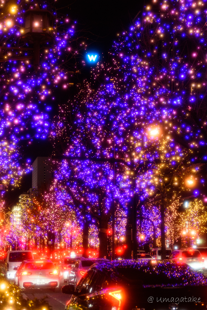 光降る夜