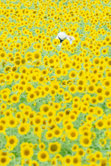 最高の一枚を