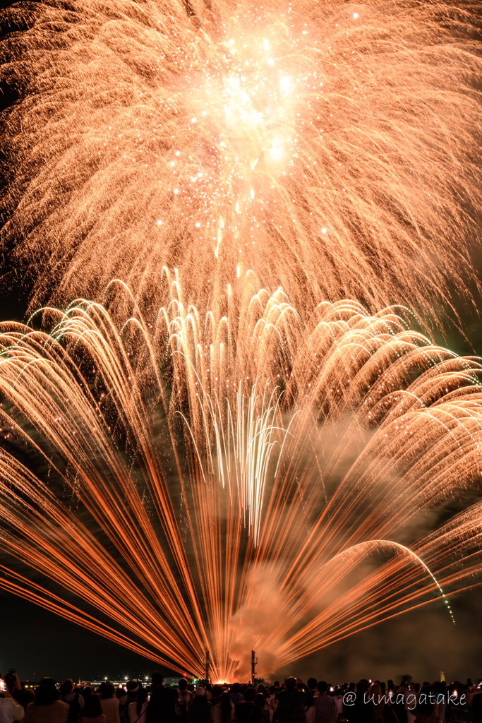 みなとHANABI　神戸を彩る5日間