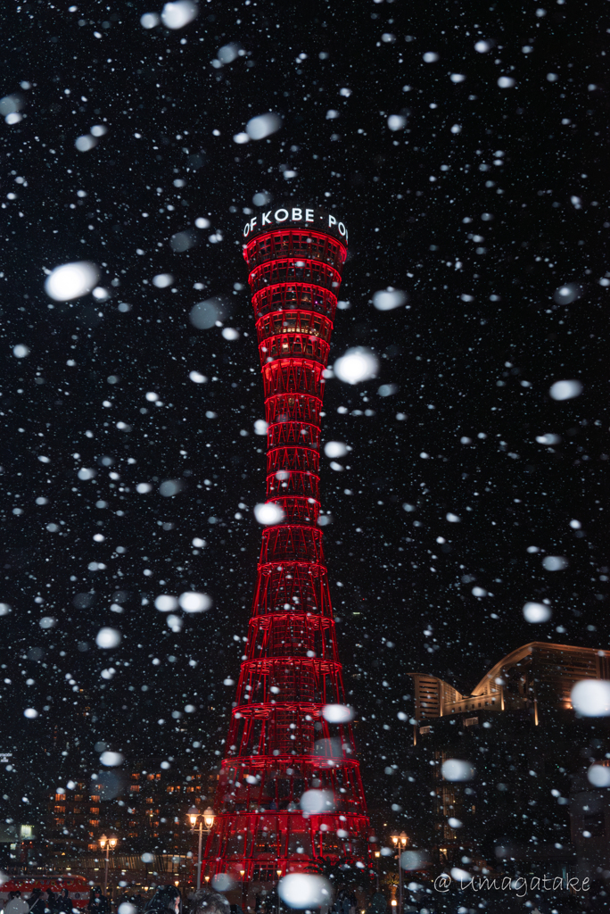神戸ポートタワー　舞い降る粉雪