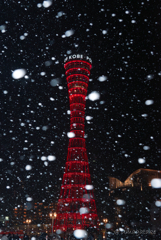 神戸ポートタワー　舞い降る粉雪
