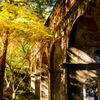 京都　紅葉紀行⑥