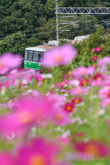 駆け抜ける