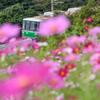駆け抜ける