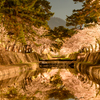 夙川夜景 III