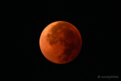 2025年9月8日　皆既月食