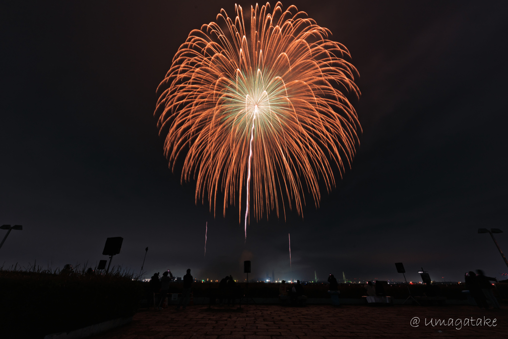 ISOGAI花火劇場 in 名古屋港④