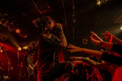 jesse