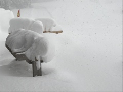 積雪