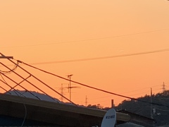 秋の朱色