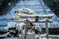 ダイヤモンドダスト
