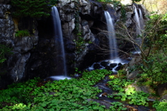 熱海梅園　滝