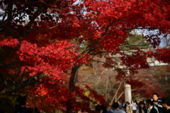 宝満宮 竈門神社