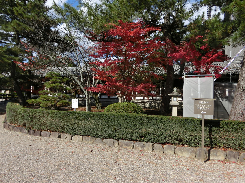 11月19日法隆寺