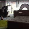 グチときーもが仲良く並んで