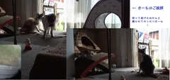 おかんに怒られる前と後