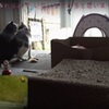グチときーもの鼻チュウ～