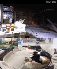 ちびーず、雪降る中お外にて