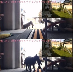 グチ、とったどーーー