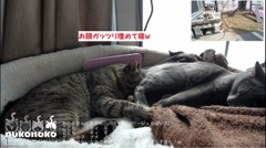落ち着くニオイ？w