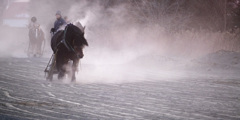 夜明け前　ばんえい競馬の朝調教3