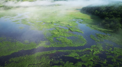 海に続く湖沼