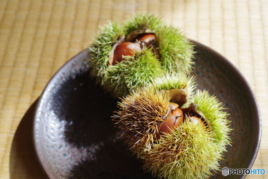 くり