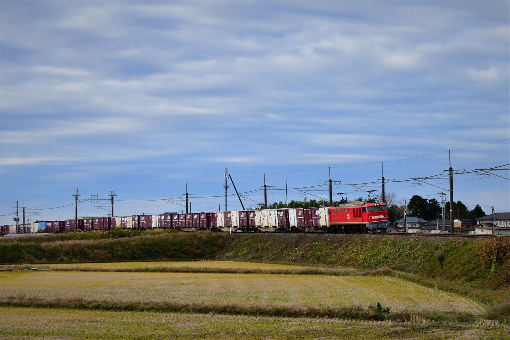 DSC_9929 稲荷踏切に久しぶりのレッド