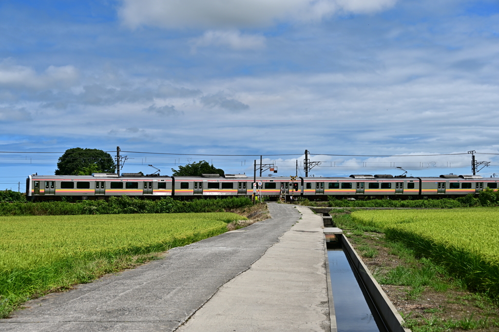 DSC_1032 ローカル各駅停車