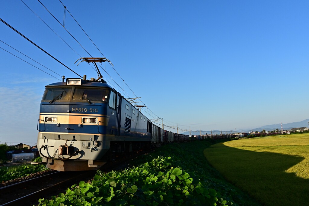 DSC_2111 青空に誘われて