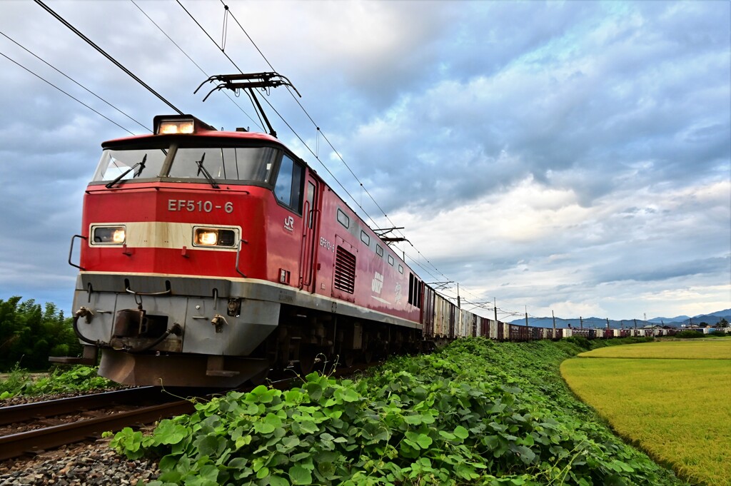 DSC_1723 今日のEF510レッドサンダー