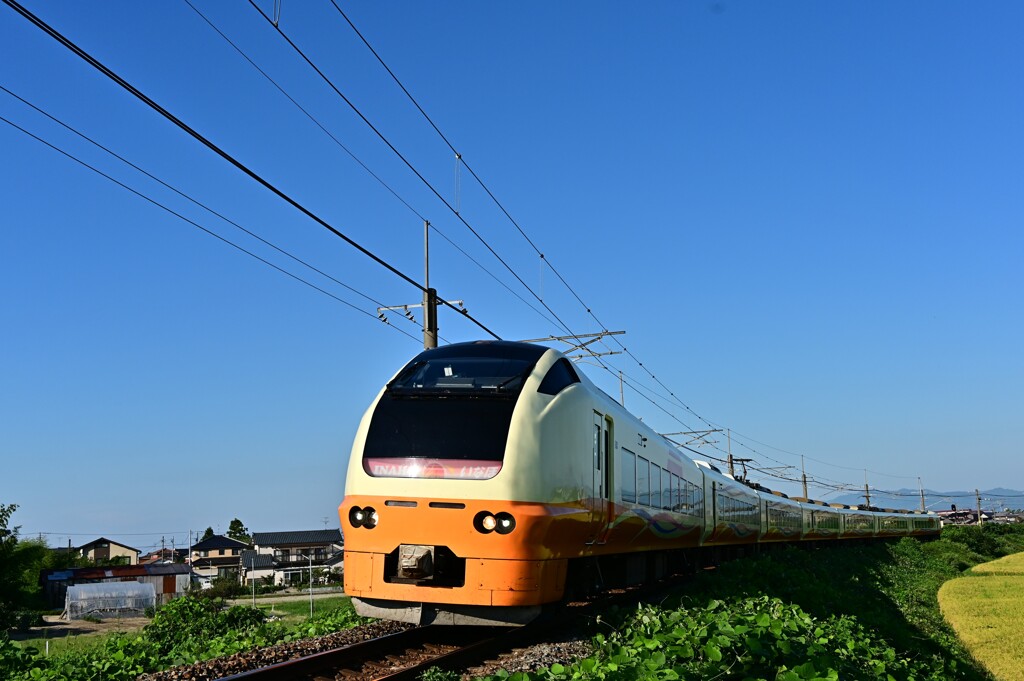 DSC_2061 青空に誘われて