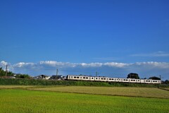 DSC_4543青い空と各駅停車