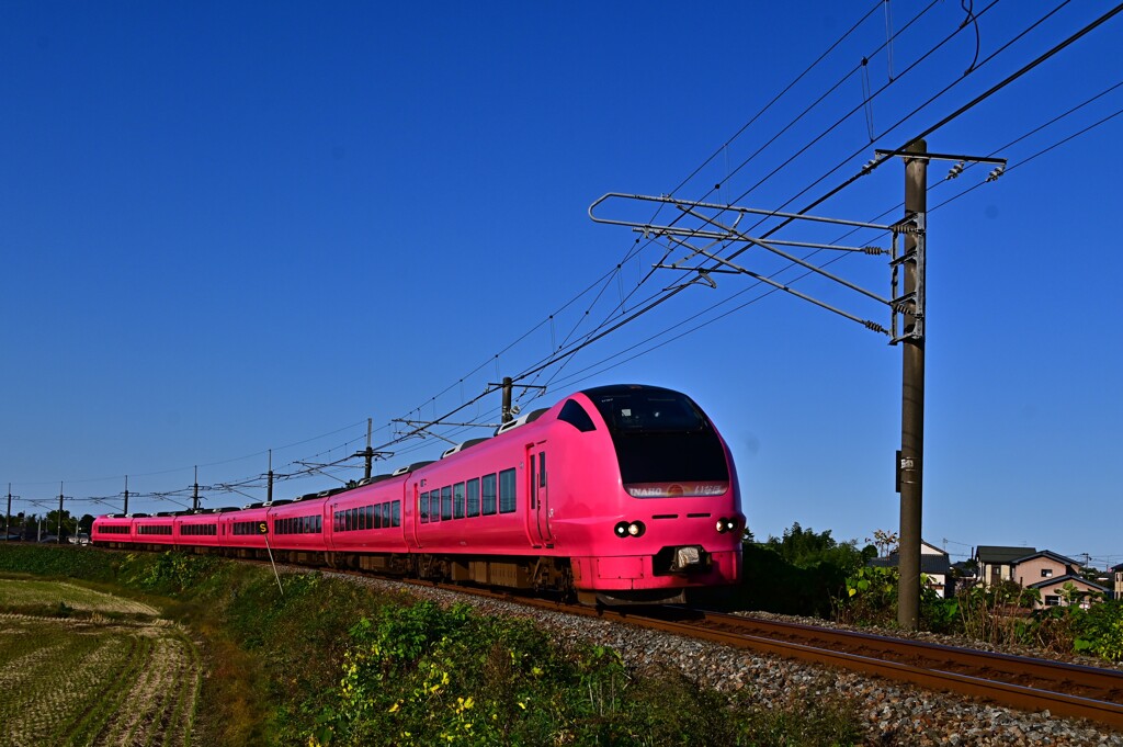 DSC_5471 今日の「ハマナス１号」