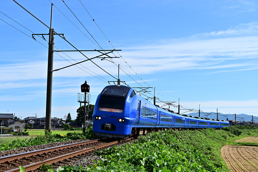 DSC_2255　爽やかな秋の空に誘われて定点撮影