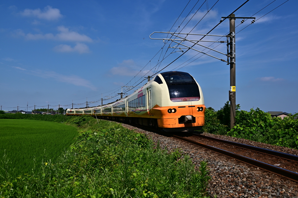 DSC_0666 クリーム1号秋田へ