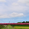 DSC_1082 赤い尻切れトンボと小さい鉄橋